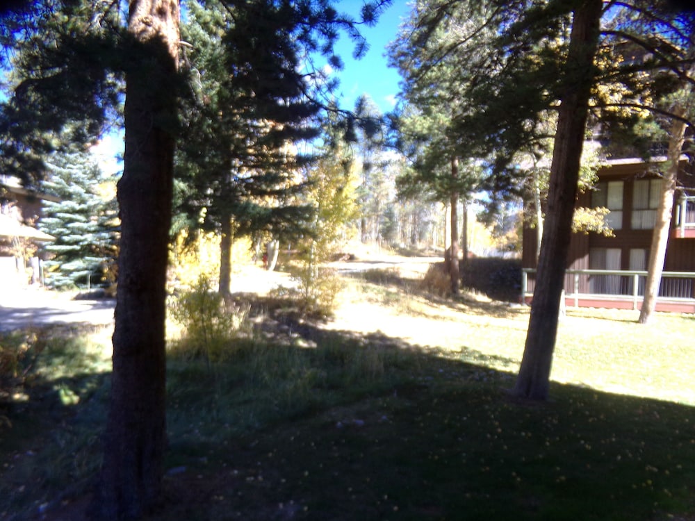 Wild Irishman 2 bed 2 bath Sleeps 9 WIBH - photo 41