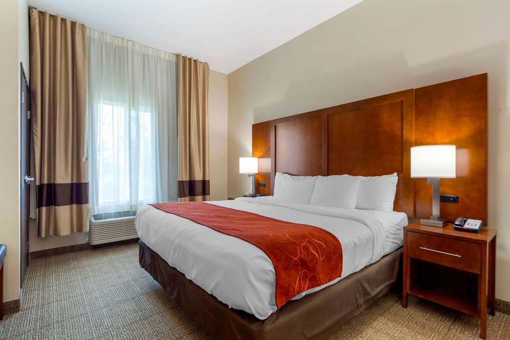 Comfort Suites La Vista Omaha - photo 8