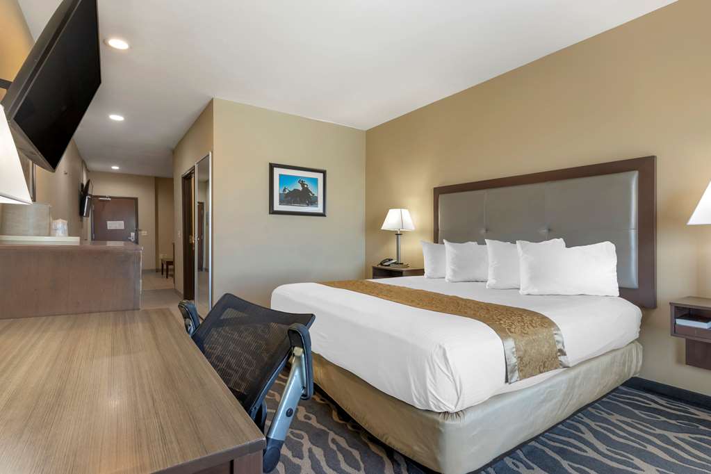 Best Western Plus Fort Stockton Hotel - photo 25