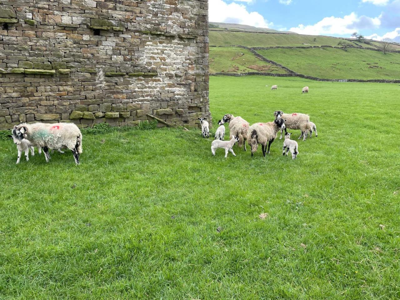 Quarry Cottage near Hawes Yorkshire Dales Pet free