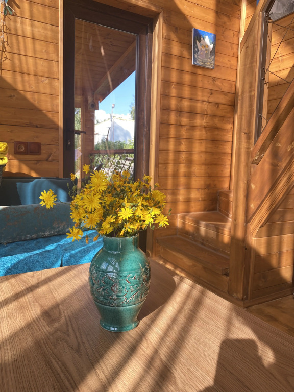 Kazbegi Mountain Cottage MTA Shi