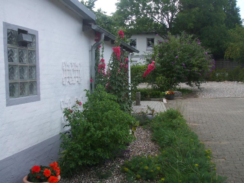 Stadtwohnung Süderbrarup — Suderbrarup — photo 2