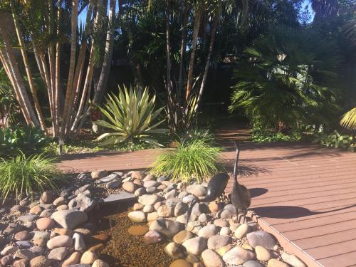 Tranquility Near The Lake in Summerland Point, Australia