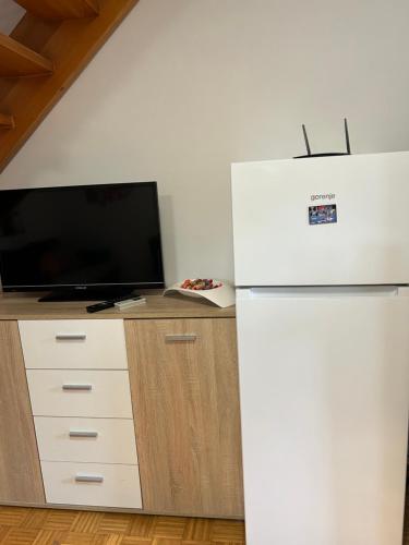 Lotty in Brezice, Slovenia