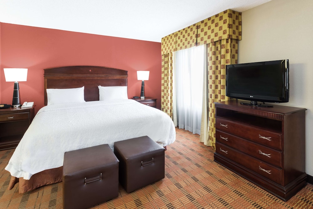 Hampton Inn Moss Point Pascagoula - photo 4