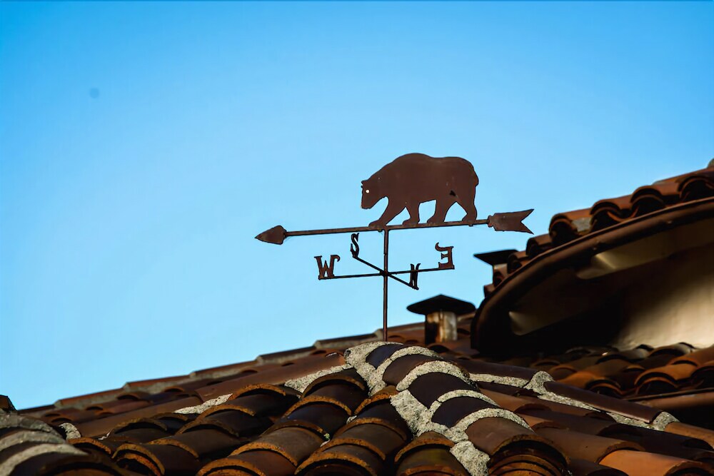 Golden Bear Hotel - photo 14