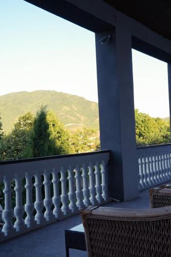 Villa Aragvi