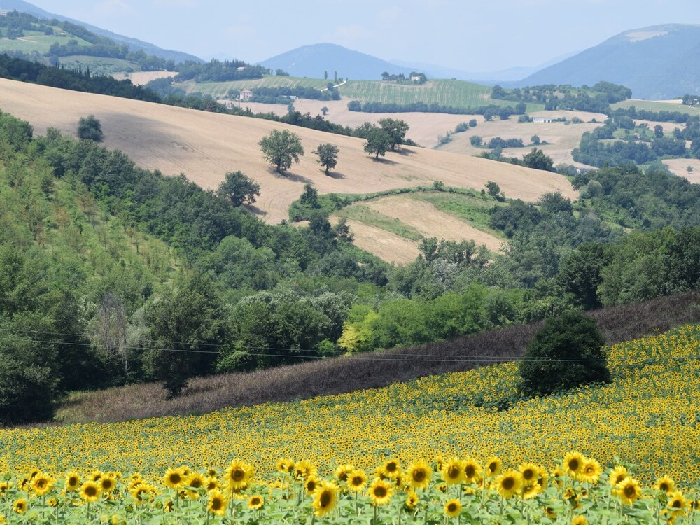 Valle del Lupo — 4-Star Luxury Hotel in San Ginesio, Italy