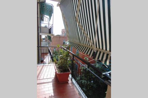 NEW L’ Anciua 170m dalla spiaggia in Monterosso Al Mare, Italy