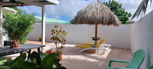 Dancing Iguanas — Oranjestad — photo 3