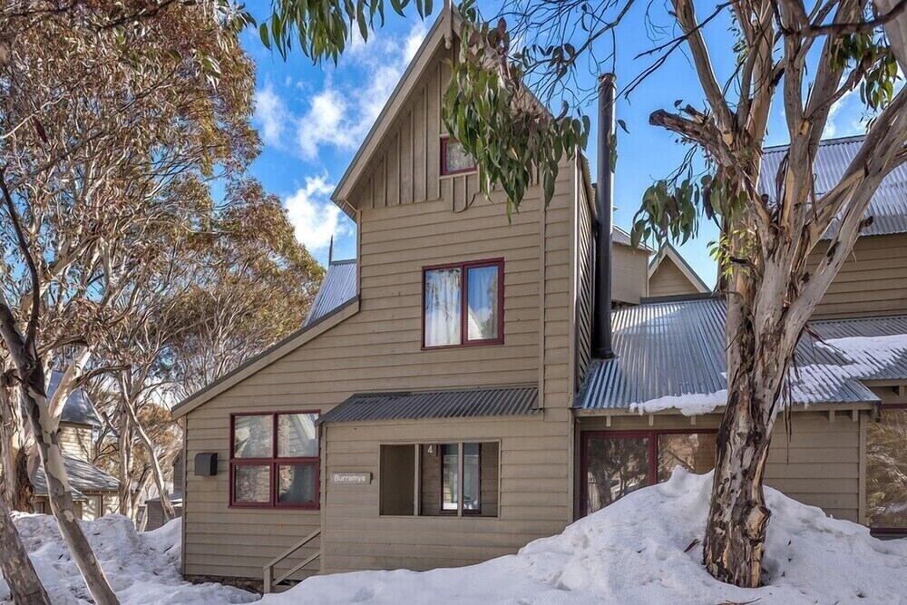 Burramys in Dinner Plain, Australia