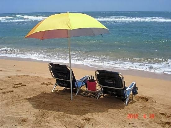 Islander on the Beach Unit 244 - photo 14