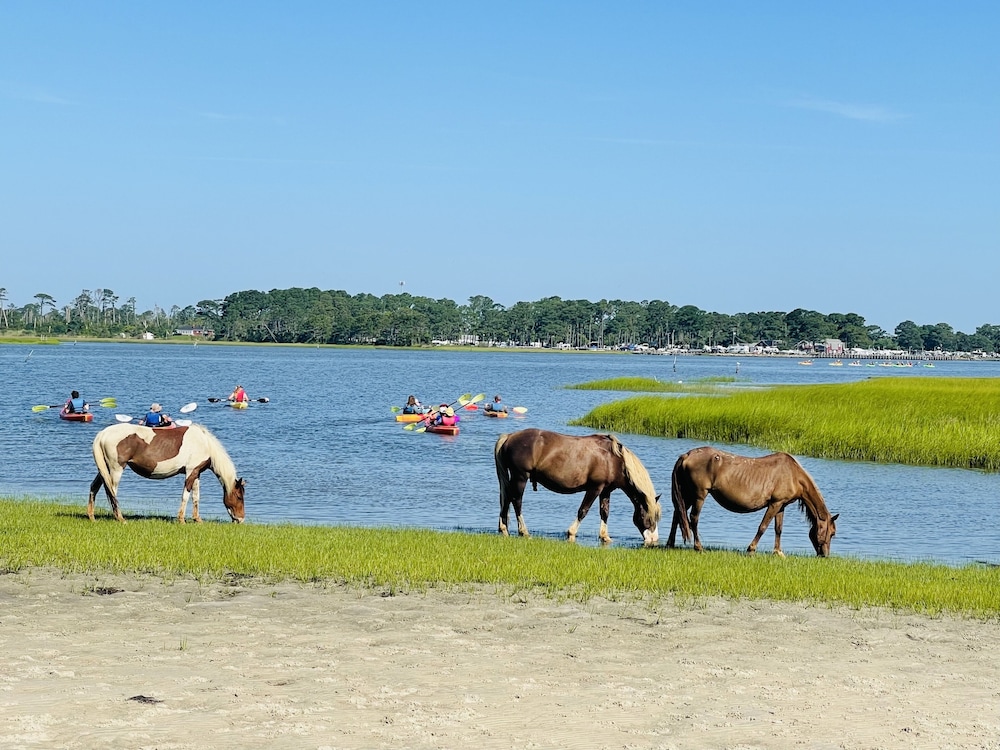 Snug Harbor Marina and Hotel - photo 14