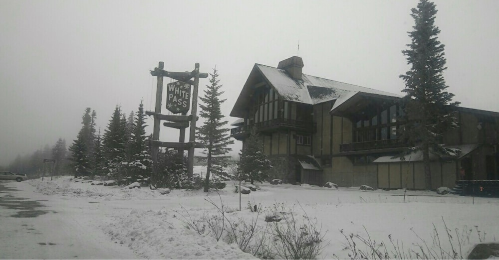 Packwood Family Ski and Vacation Getaway - photo 22