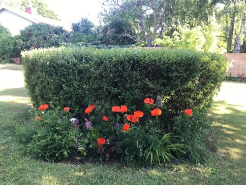 Tobsborg 2 — Simrishamn — photo 4