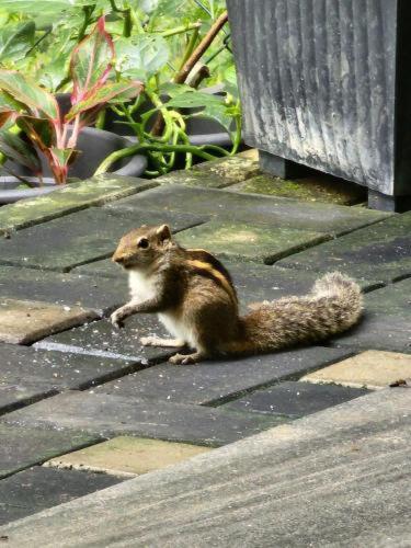 Lake Entrance in Kurunegala, Sri Lanka