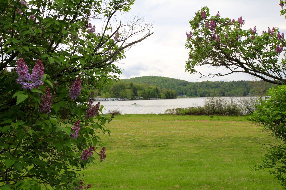 Sara Placid Inn & Suites - photo 78