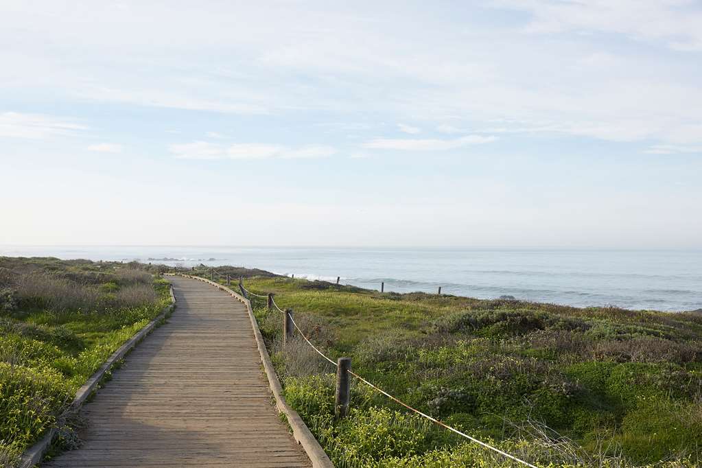 White Water - photo 5