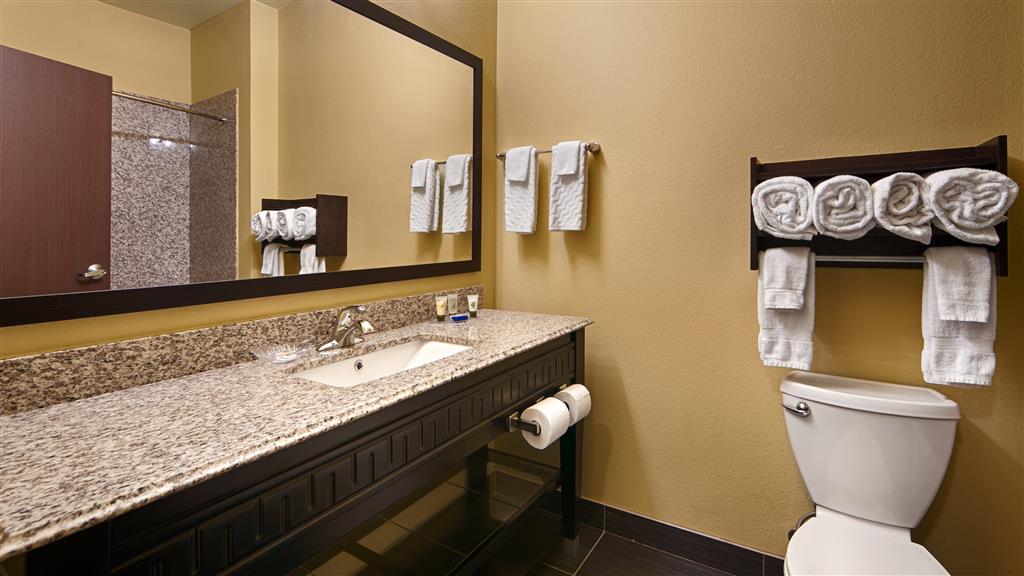 Best Western Plus Carrizo Springs Inn & Suites - photo 9
