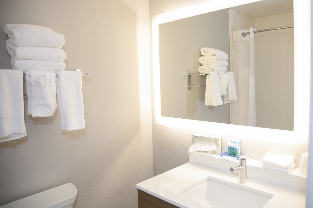 Holiday Inn Express & Suites Colorado Springs North by IHG - photo 40