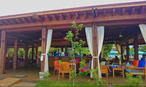 Dreamland Oasis apartment Chakvi