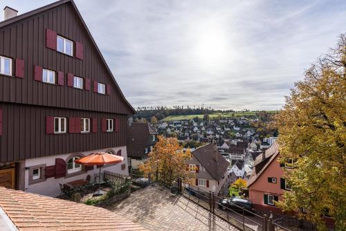 Ferienwohnungen Metzgerpost — hotel in Altensteig