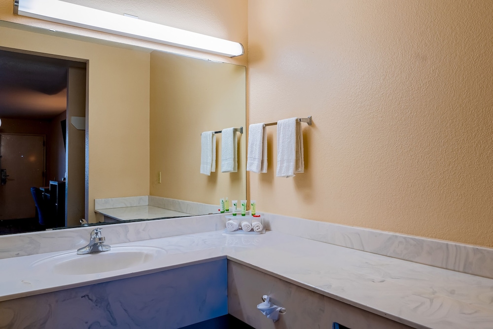 OYO Hotel Yoakum West - photo 29