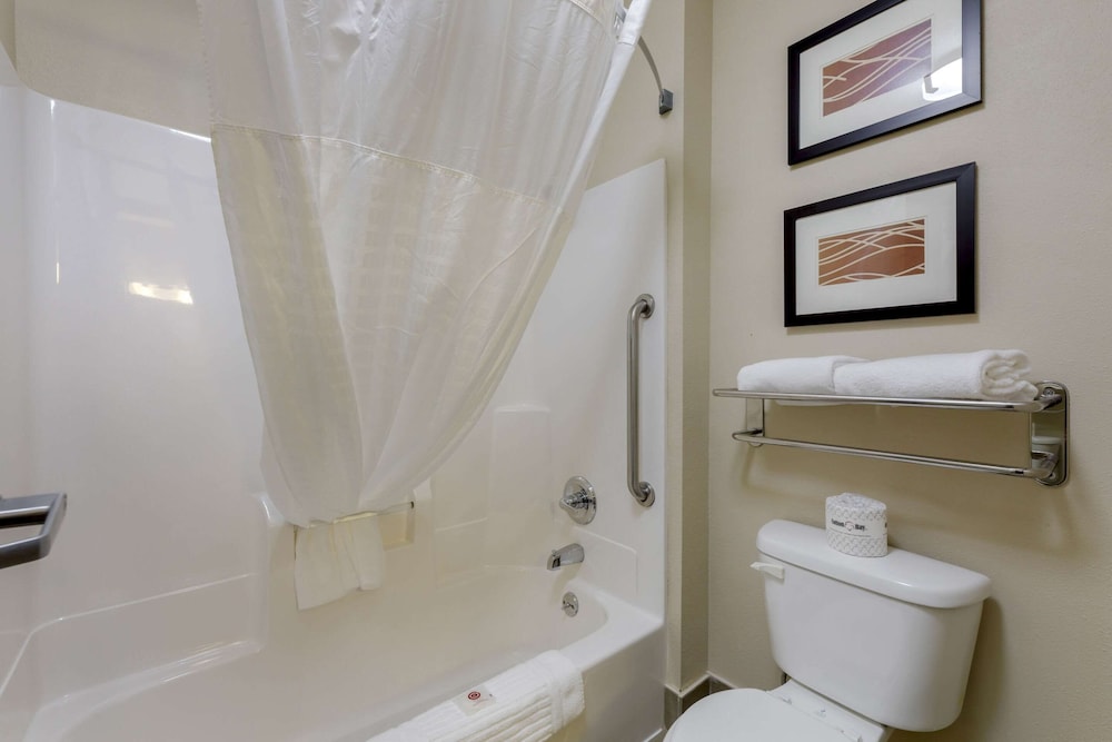 Comfort Inn Mount Vernon Downtown - photo 9