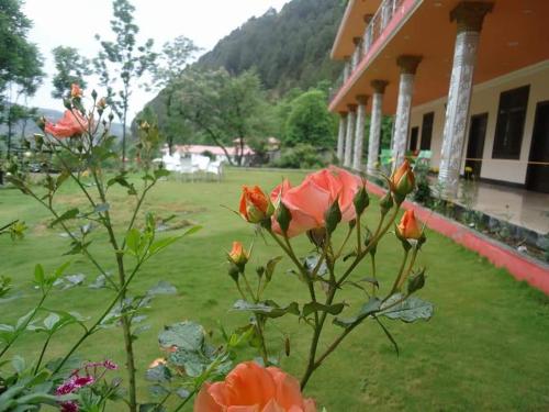Hotel Mountain Track Taranna Balakot in Muzaffarabad, Pakistan