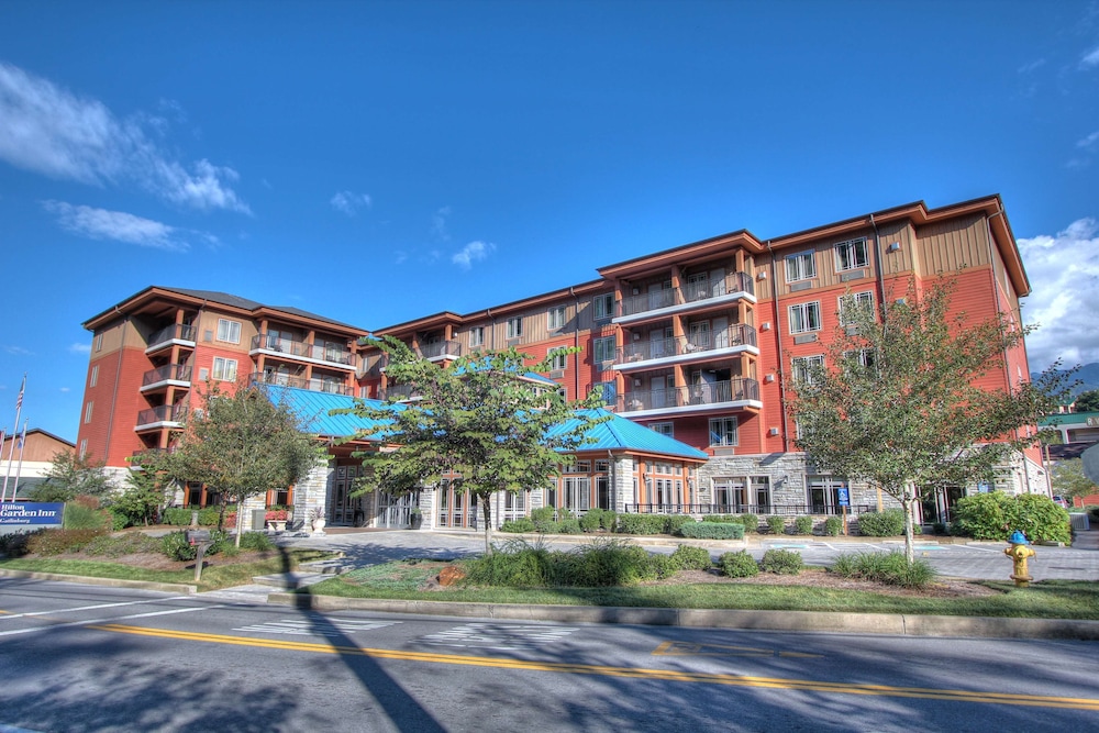 Hilton Garden Inn Gatlinburg - photo 43