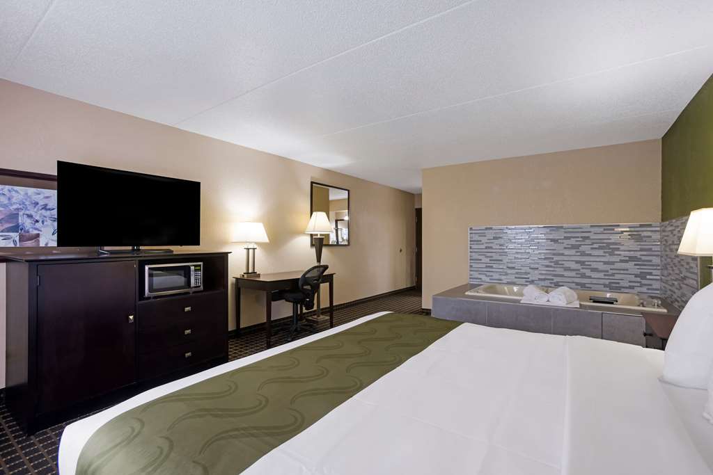 Quality Inn & Suites Big Rapids near University - photo 13
