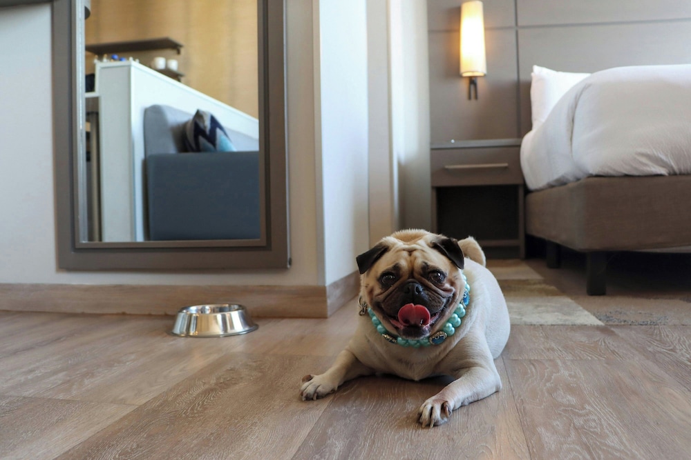 Residence Inn by Marriott Cancun Hotel Zone