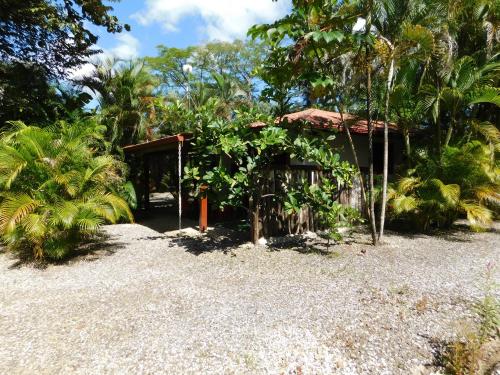 Villasjungle 3 in Samara, Costa Rica