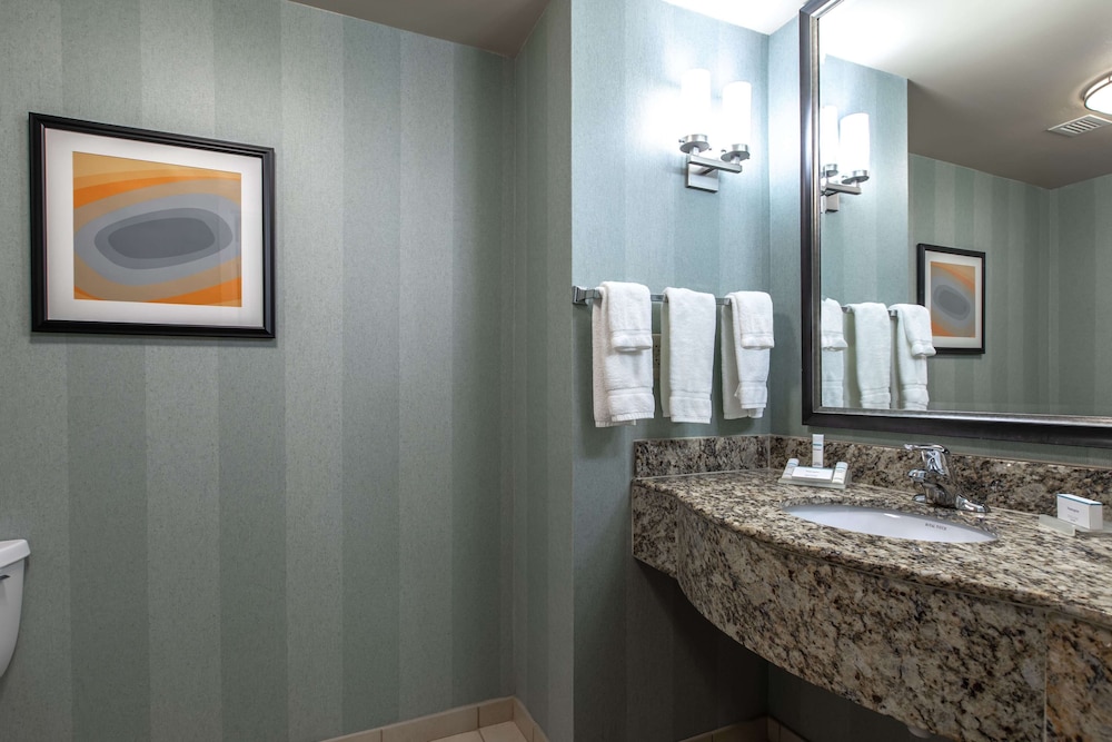 Hilton Garden Inn Lynchburg - photo 27