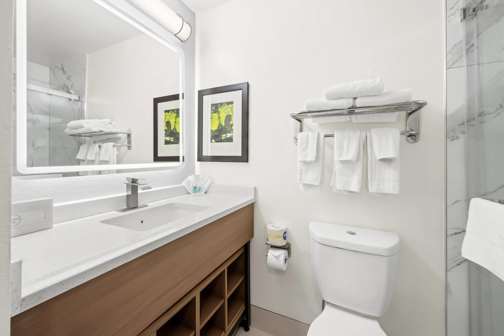 MainStay Suites Raleigh North - photo 63