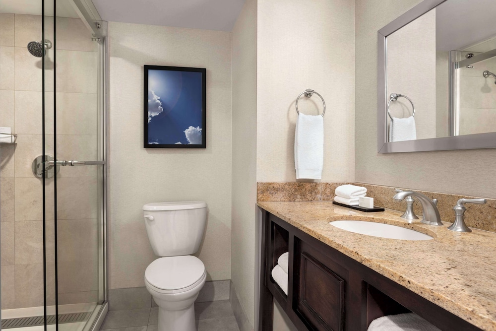 Embassy Suites by Hilton Kansas City Overland Park - photo 28