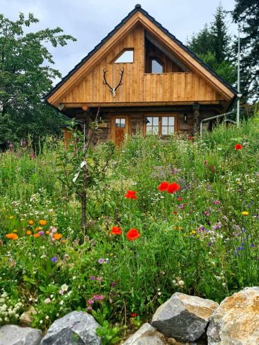 Blockhaus PanHütte in Braunlage, Germany