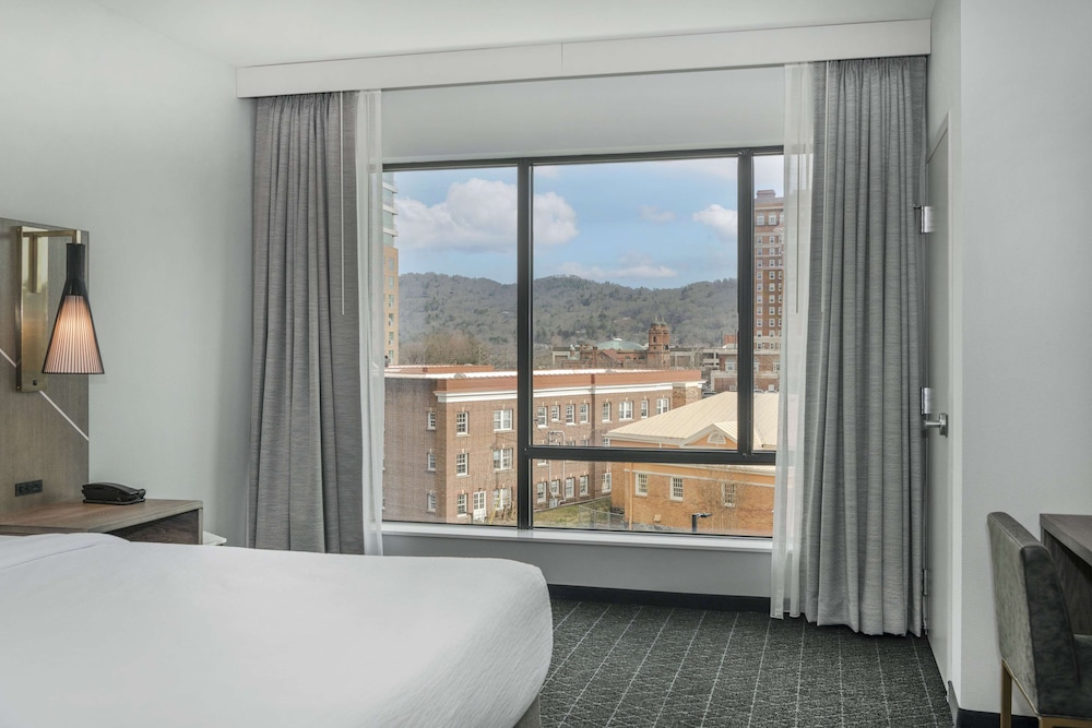 Embassy Suites By Hilton Asheville Downtown - photo 87