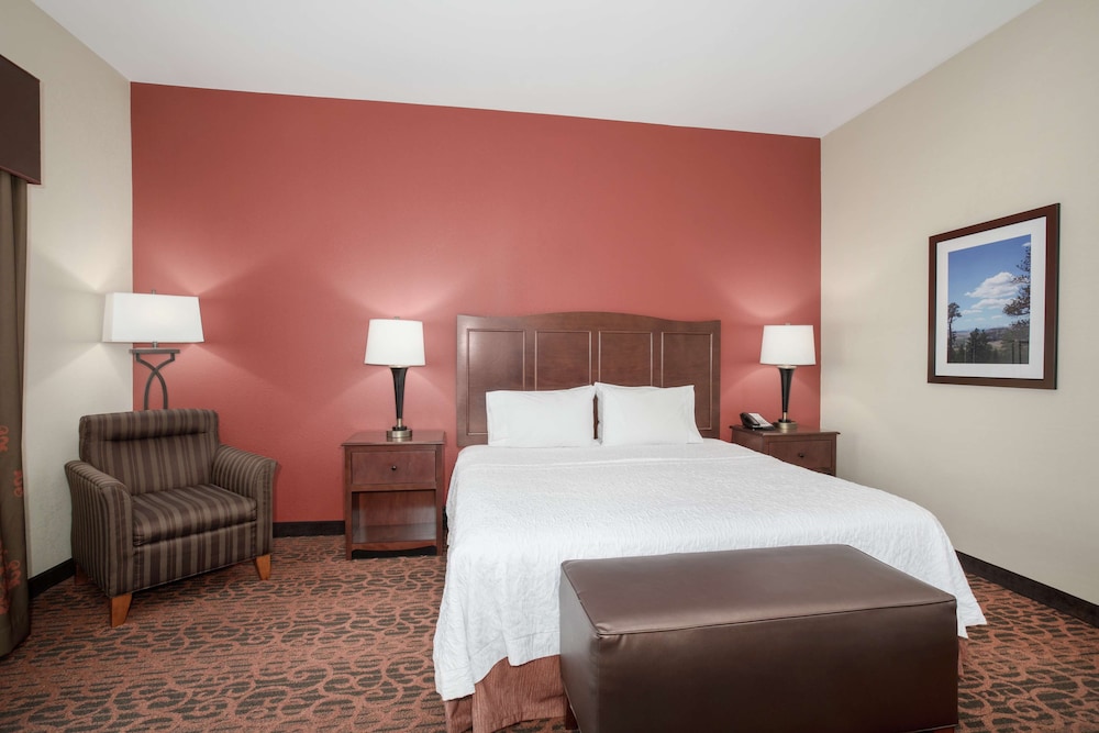 Hampton Inn & Suites Denver South RidgeGate - photo 34