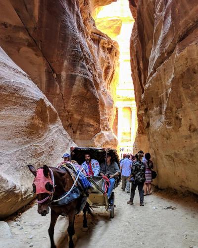 Tourist guide — Al Jafr — photo 4