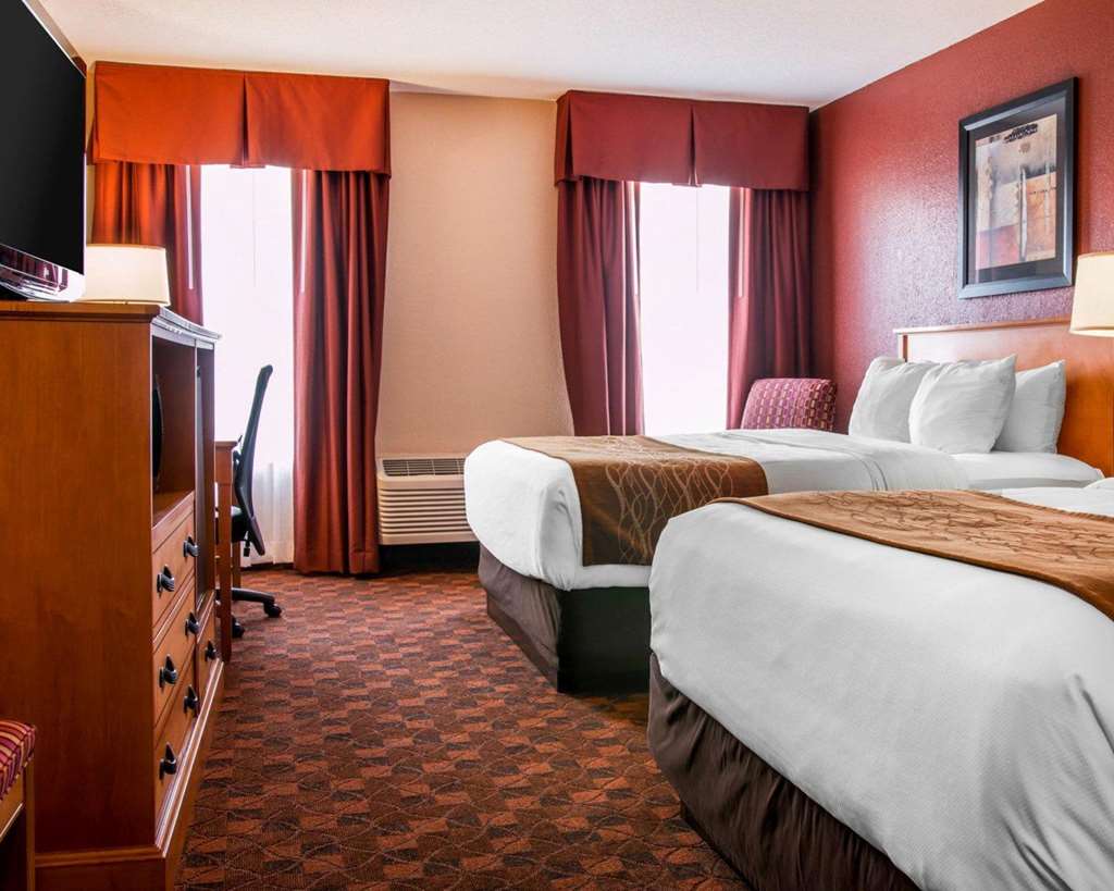 Comfort Inn & Suites and Conference Center - photo 7