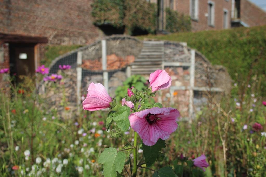 La Ferme du Pré Charmant — Durbuy — photo 3