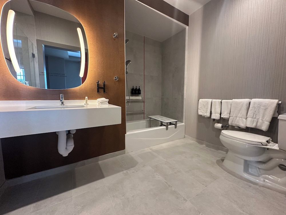 Hotel Indigo Baton Rouge Downtown by IHG - photo 18