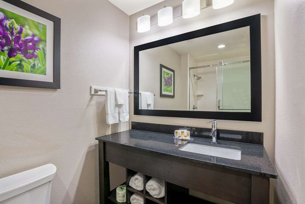 La Quinta Inn & Suites by Wyndham College Station South - photo 38