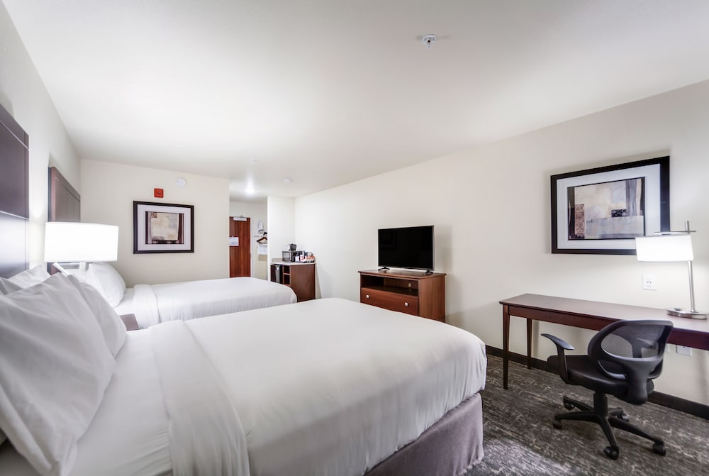 Cobblestone Inn & Suites Fremont - photo 16