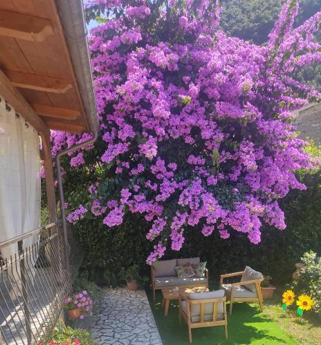 La Bouganville e Il Gelsomino — 4-Star Luxury Hotel in Pietrasanta, Italy