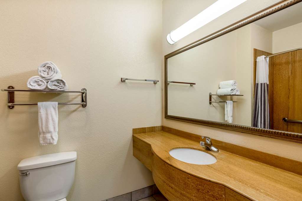 La Quinta Inn & Suites by Wyndham Dodge City - photo 14