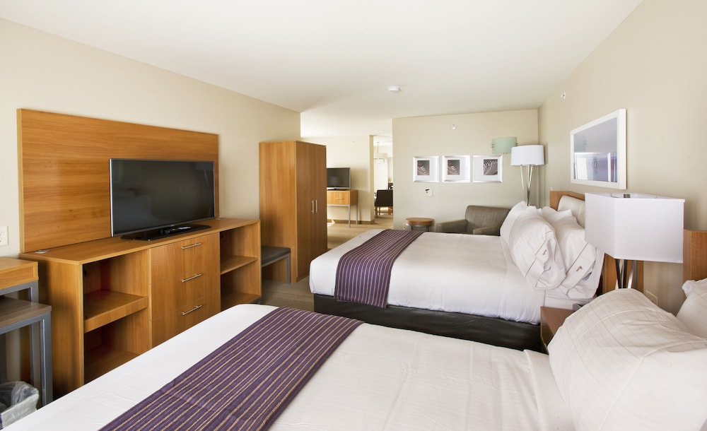 Holiday Inn Express & Suites Hot Springs by IHG - photo 4