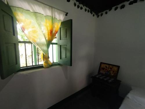 Mi Fundo — Acacias — photo 5