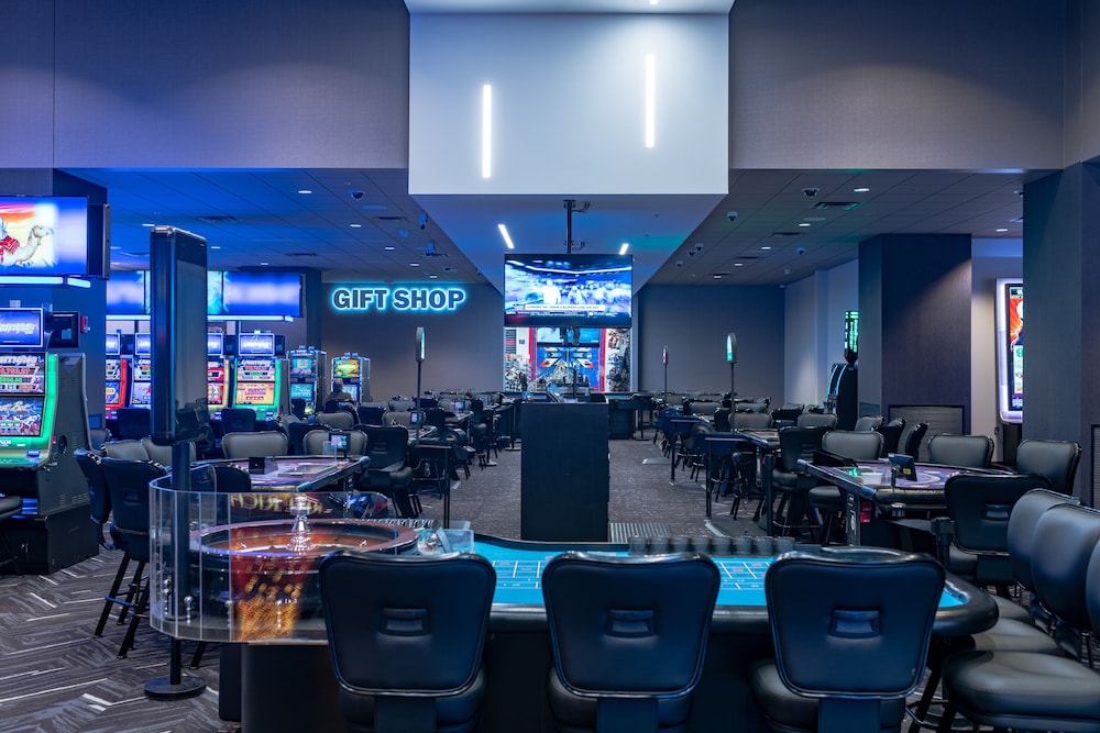 Royal River Casino and Hotel - photo 30